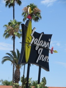 15th Jul 2013 - Safari Inn