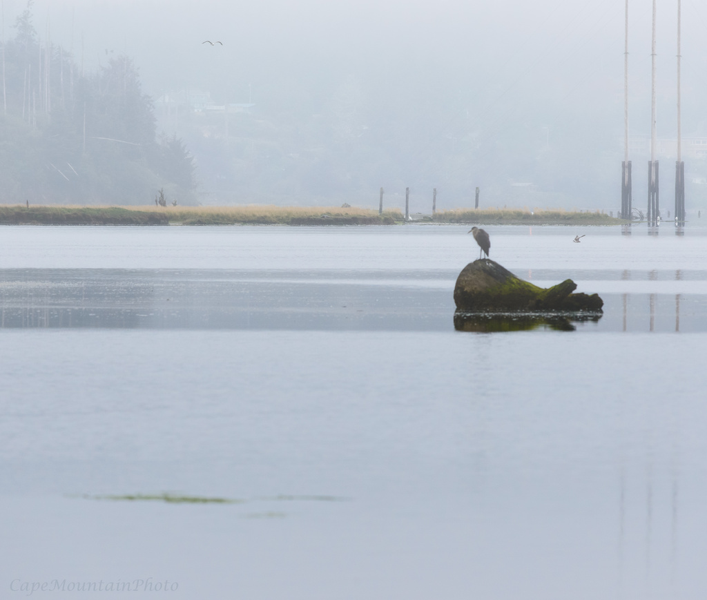 Morning Mist On the Siuslaw by jgpittenger