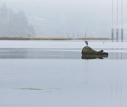 16th Jul 2013 - Morning Mist On the Siuslaw