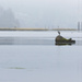 Morning Mist On the Siuslaw by jgpittenger