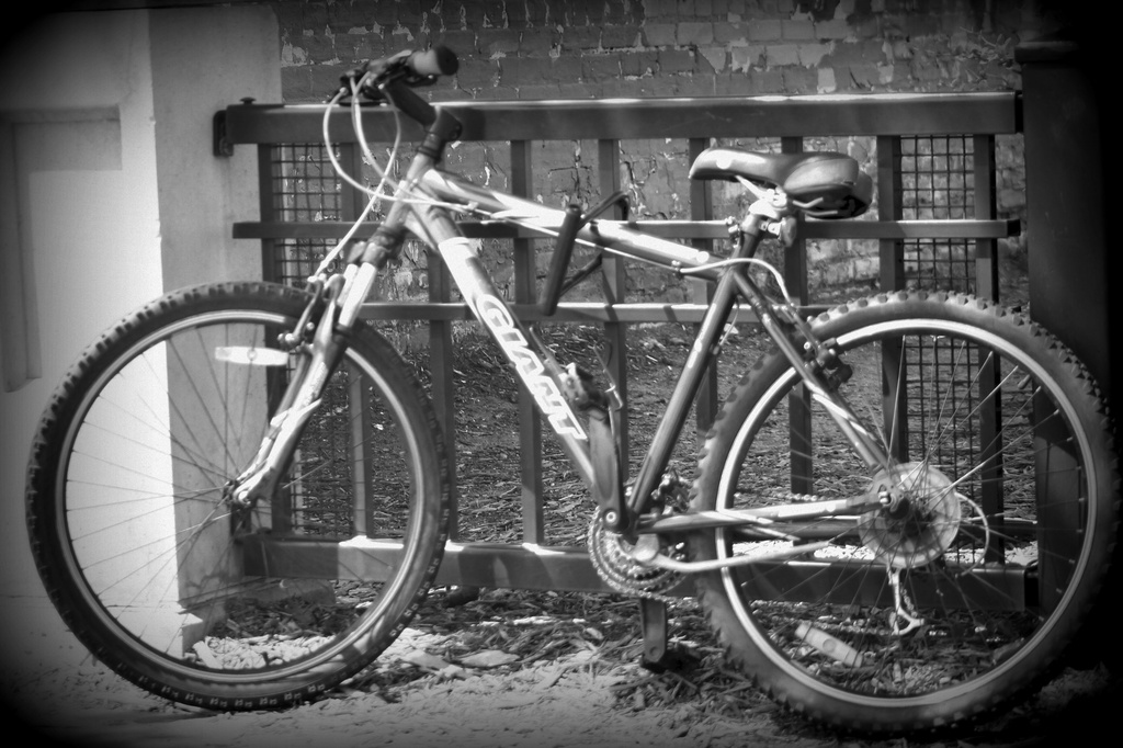 B&W Bicycle by judyc57