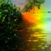 Rainbow Shadows by juliedduncan