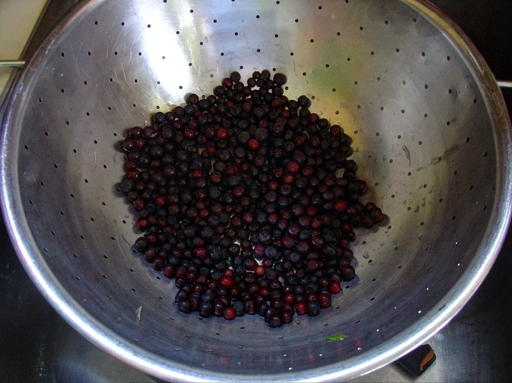 Huckleberries by jawere