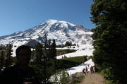 15th Jul 2013 - Mt Rainier....