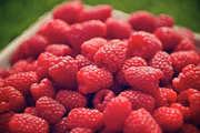17th Jul 2013 - Raspberry Texture