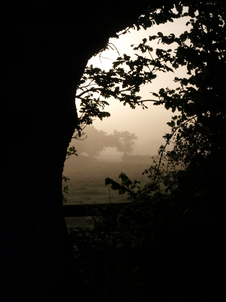 Morning mist - 17-7 by barrowlane