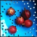 Gooseberries from the garden by mastermek