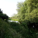 River Nadder Salisbury - 18-7 by barrowlane