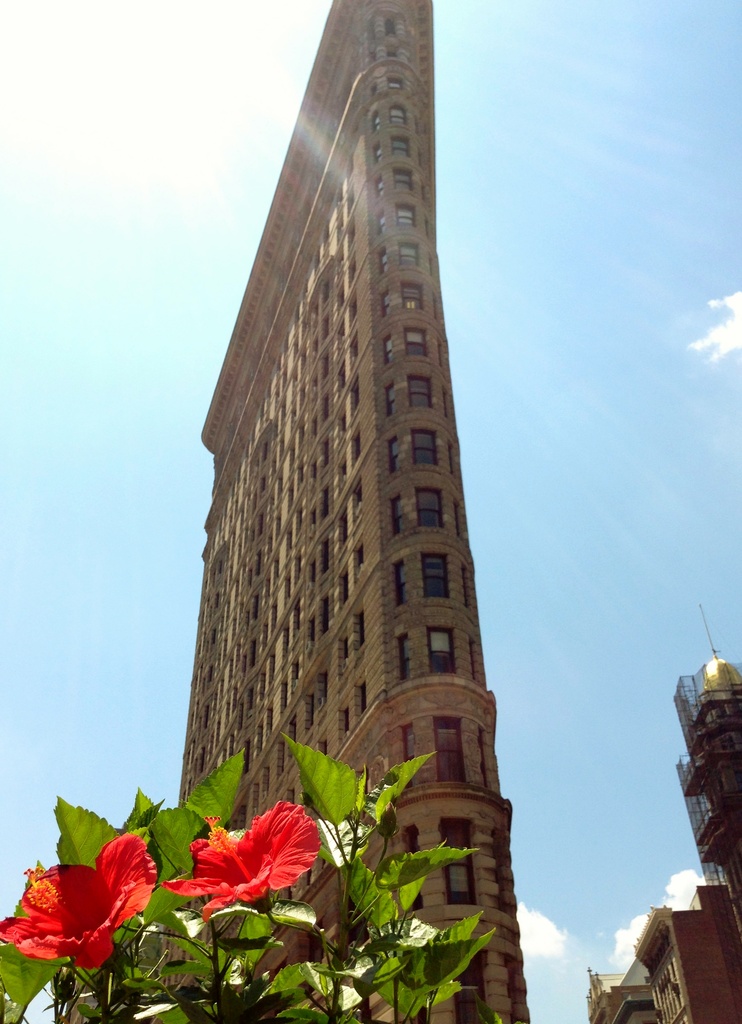 Flatiron - five months later... by fauxtography365