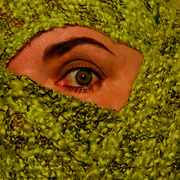 19th Jul 2013 - Green-eyed monster