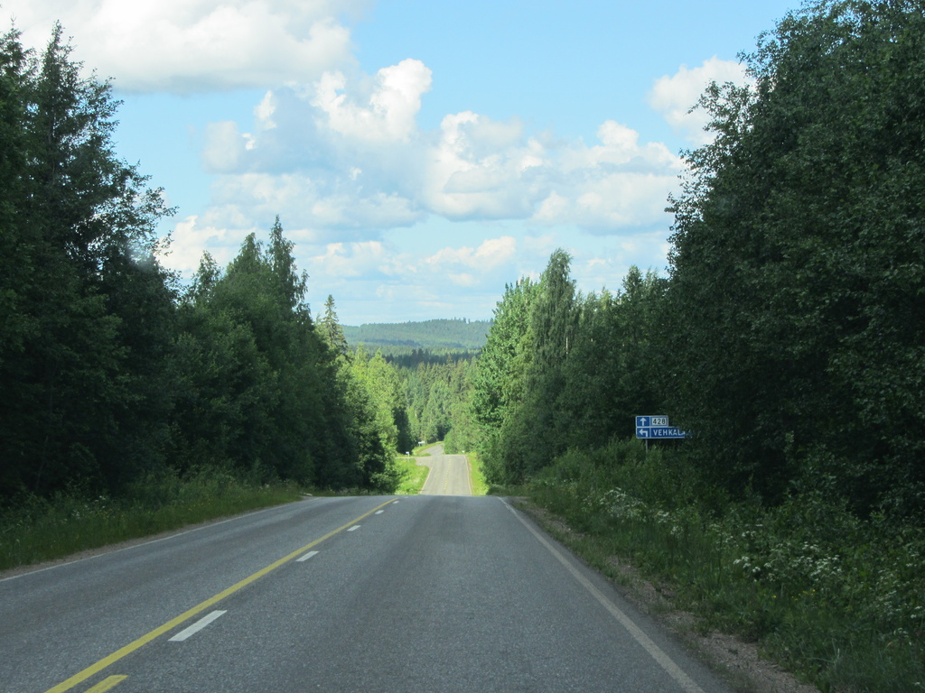 Road #428 - Haminanmäki IMG_3312 by annelis