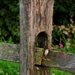 Another Fence Post by digitalrn