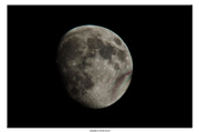 19th Jul 2013 - The Moon
