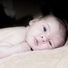 Baby J by corymbia