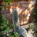 My New Garden - Part One:  The Riverstone by mozette