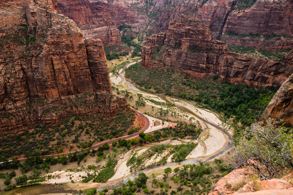View from Scouts Lookout, Zion National Park by northy