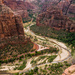 View from Scouts Lookout, Zion National Park by northy