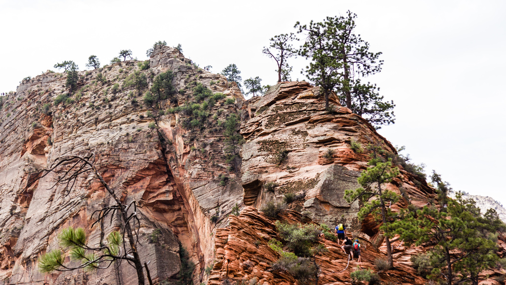 Hikers on the "trail" to Angels Landing, Zion National Park by northy