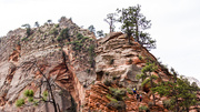 11th Jul 2013 - Hikers on the "trail" to Angels Landing, Zion National Park