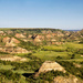 Theodore Roosevelt National Park by lisabell