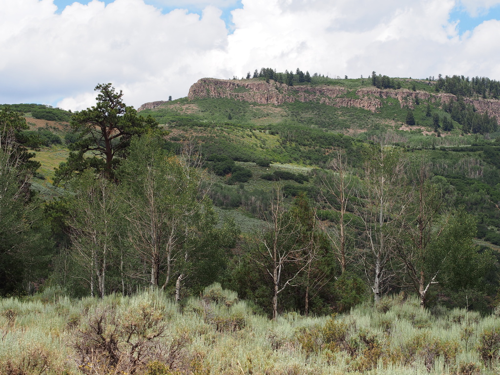 View From Ponderosa Campsite by tosee