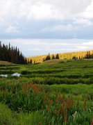 14th Jul 2013 - Evening Powderhorn Wilderness