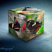 Butterfly Cube by tonygig