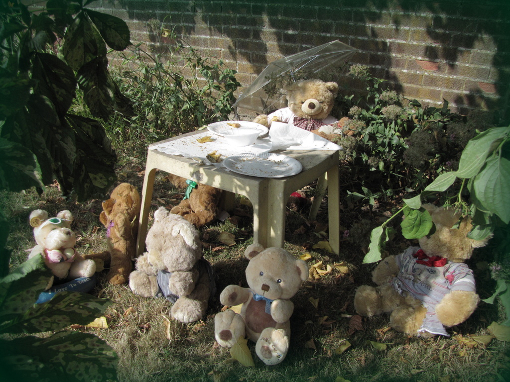 Teddy Bears Picnic by busylady
