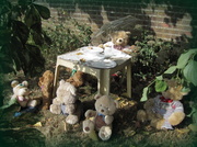 21st Jul 2013 - Teddy Bears Picnic