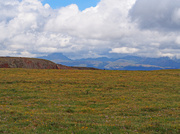 16th Jul 2013 - Calf Creeki/Cannibal Plateau