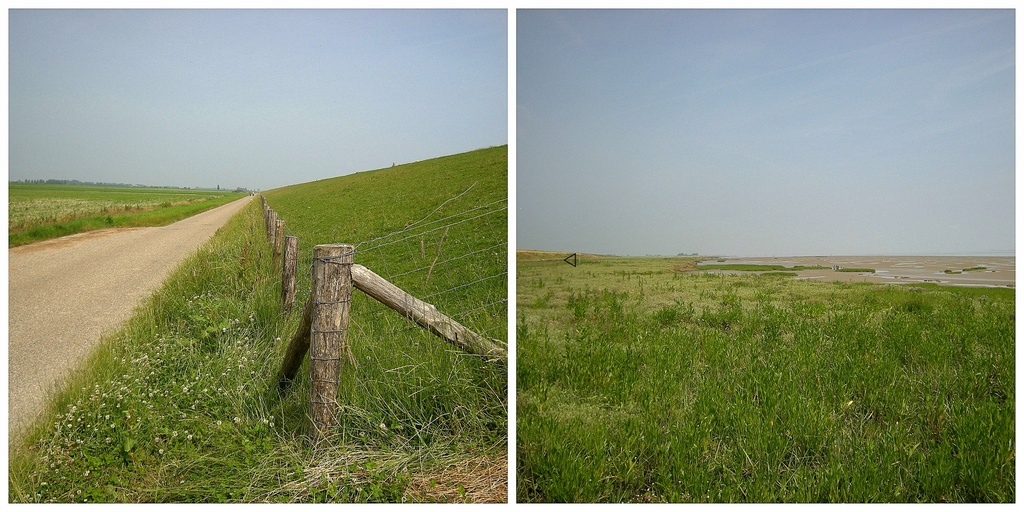 Both sides of the dike by pyrrhula