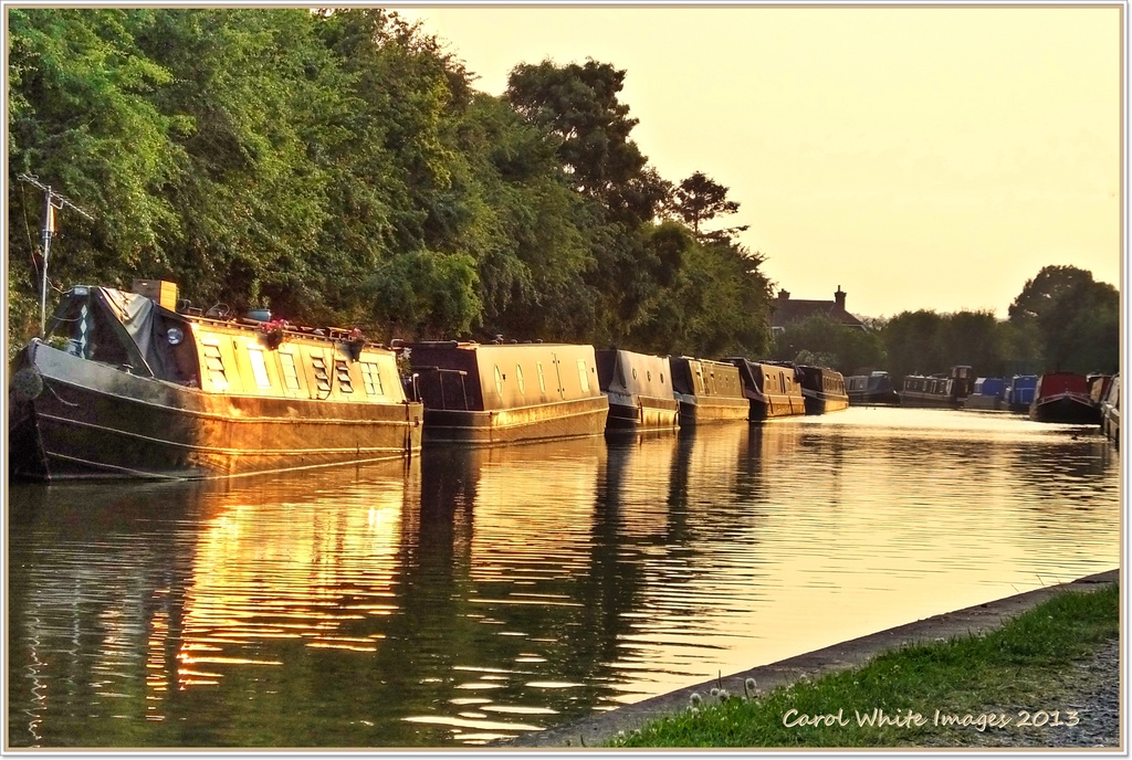Evening Reflections On The Canal by carolmw