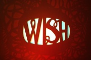 29th Aug 2010 - "Wish"