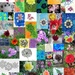 flower challenge by cpw