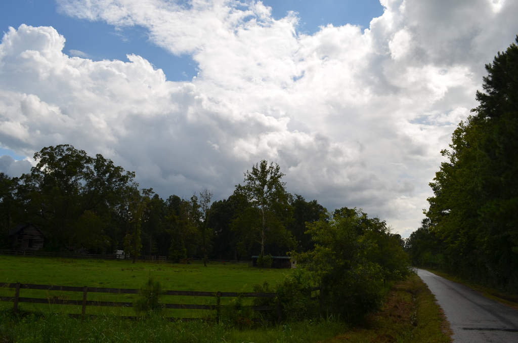 Country road and farm, Dorchester County, SC by congaree