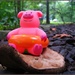 Pig on a Mushroom by olivetreeann