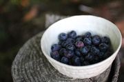 22nd Jul 2013 - Blueberries