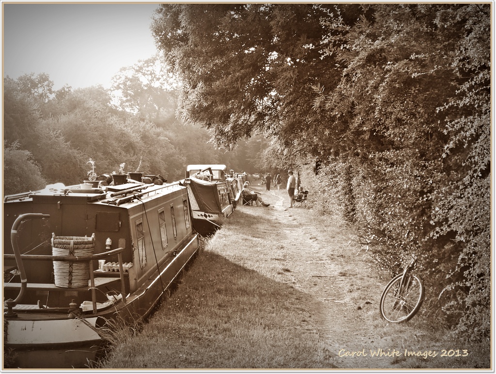 Life Along The Towpath by carolmw