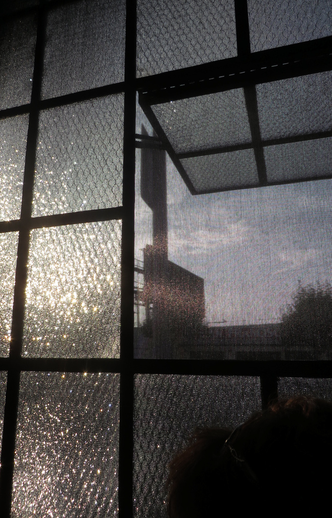 Screened Window by lisasutton