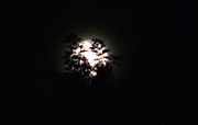 22nd Jul 2013 - Full moon