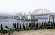 23rd Jul 2013 - Siuslaw River Bridge Fog Burning Off 