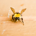 Bumblebee by ragnhildmorland