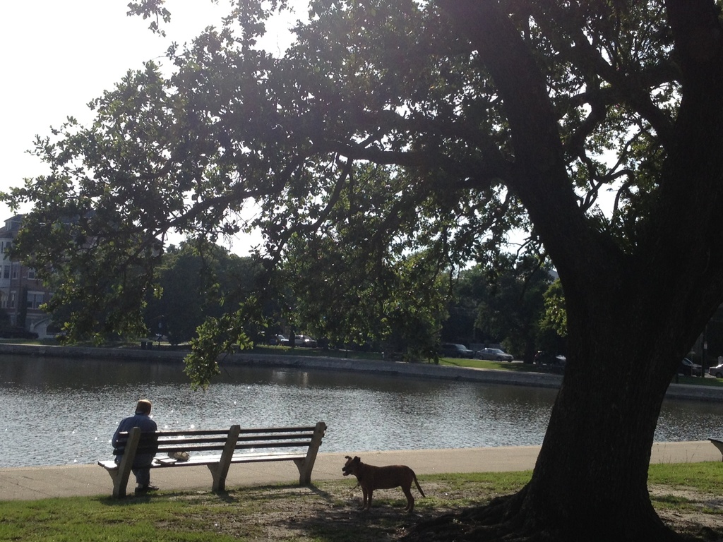 A relaxing afternoon at Colonial Lake, Charleston, SC by congaree