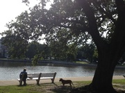 23rd Jul 2013 - A relaxing afternoon at Colonial Lake, Charleston, SC