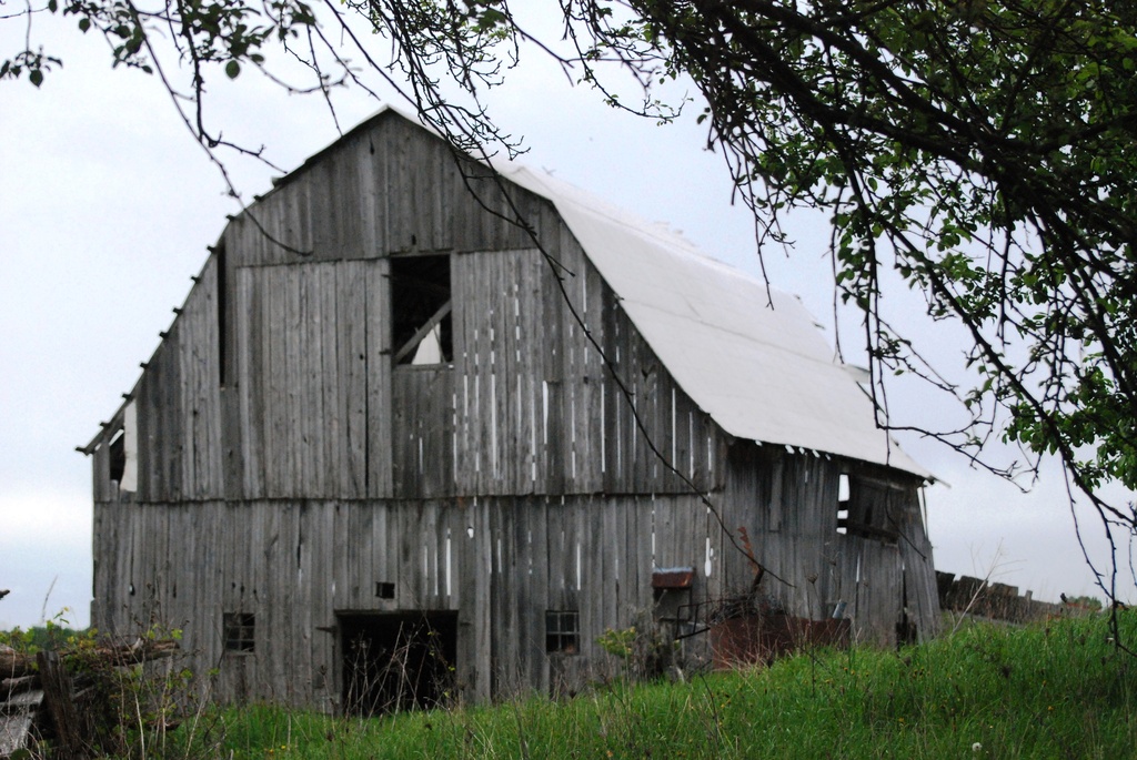 Old barn by farmreporter