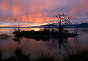 20th Jul 2013 - Sunrise at Lake Rotorua
