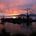 Sunrise at Lake Rotorua by jyokota