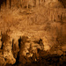 Ruakuri Cave in Waitomo   by jyokota