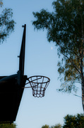16th Jul 2013 - basket in Niewiadom