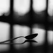 just a spoon by pocketmouse